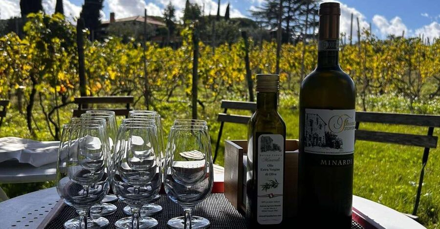 From Rome: Half-Day Frascati Wine Tour with Farmhouse Lunch - Leaving Rome for Frascati at 9:49 a.m.