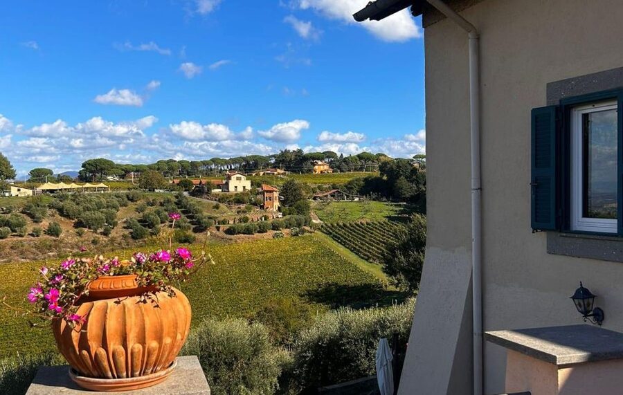From Rome: Half-Day Frascati Wine Tour with Farmhouse Lunch - Old cellar spaces and wines shaped by local soil