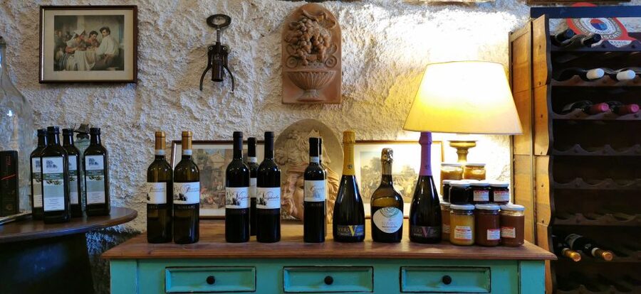 From Rome: Half-Day Frascati Wine Tour with Farmhouse Lunch - Guitar, songs, and a surprisingly social finish