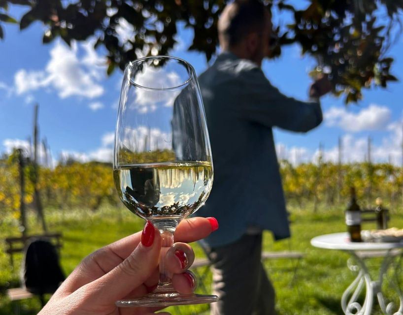 From Rome: Half-Day Frascati Wine Tour with Farmhouse Lunch - The return to Frascati and Rome