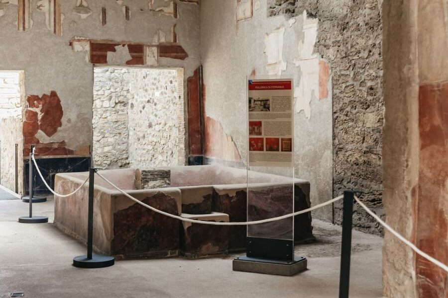 From Rome: Pompeii Day Trip with Optional Vesuvius and Lunch - Timing, comfort, and the late return