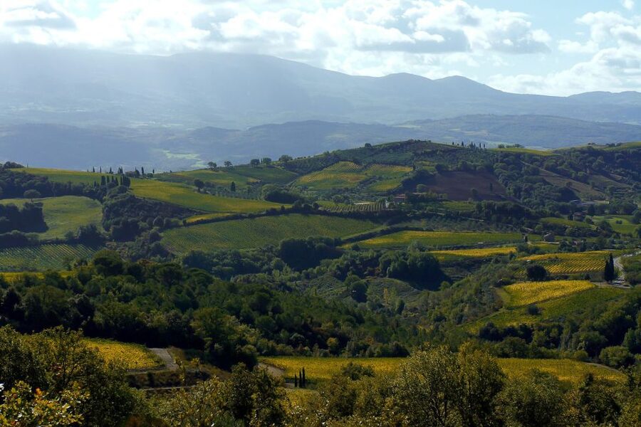 From Siena: Brunello di Montalcino Guided Wine Tour W/ Lunch - Who will enjoy this tour most?