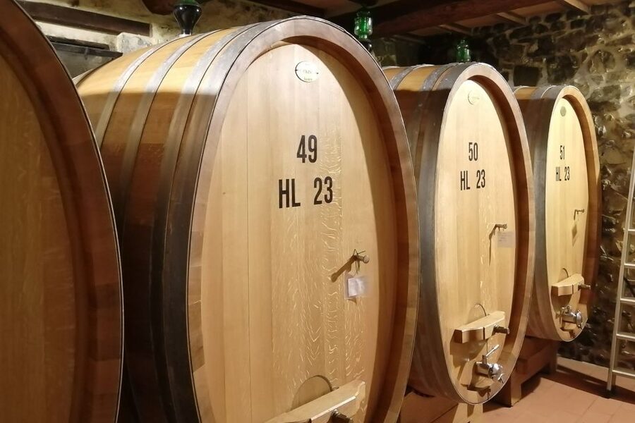 From Siena: Brunello di Montalcino Guided Wine Tour W/ Lunch - Montalcino: fortress views and a useful pause from wine