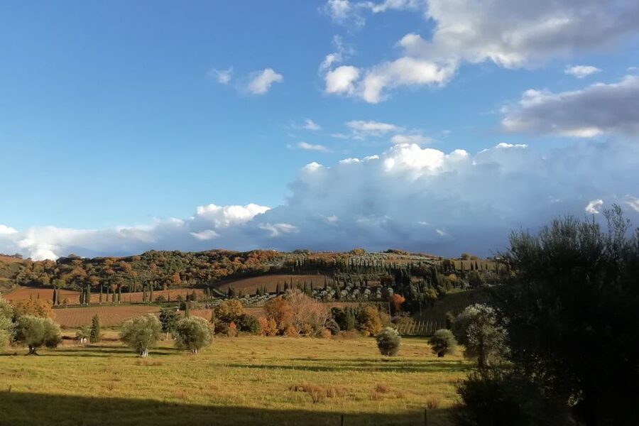 From Siena: Brunello di Montalcino Guided Wine Tour W/ Lunch - Abbey of Sant’Antimo: a quiet Benedictine stop