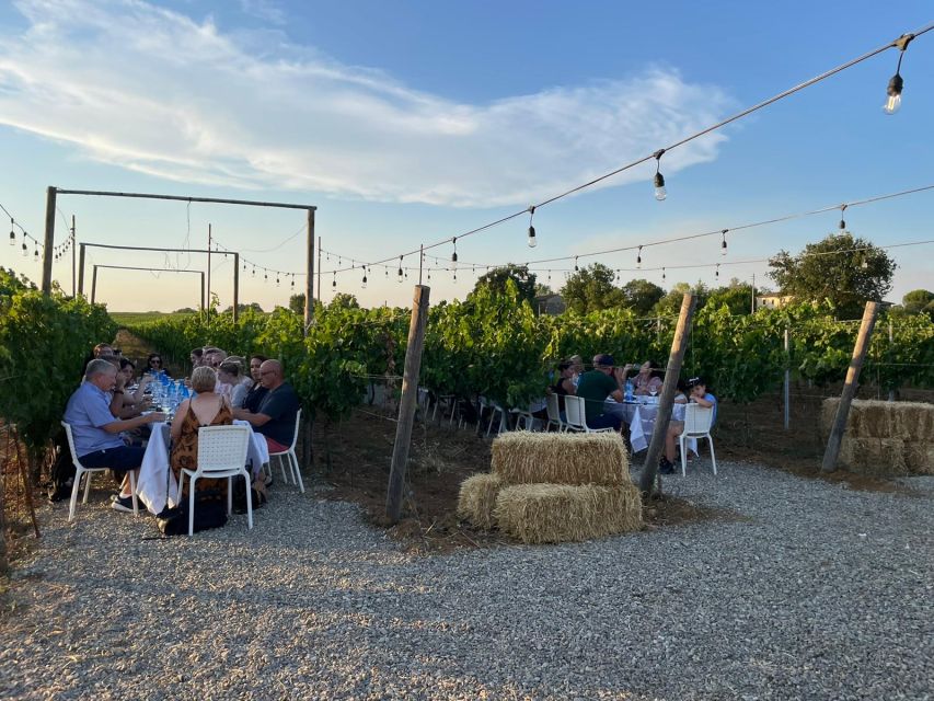 From Siena: Chianti and Castles Tour with Wine Tastings - Key points at a glance