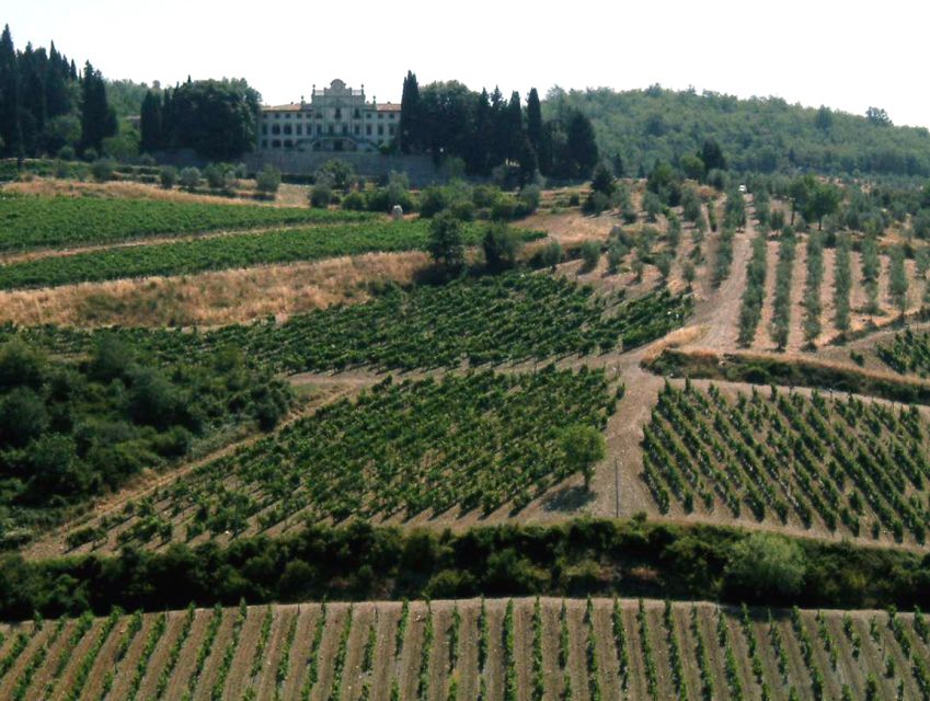 From Siena: Chianti and Castles Tour with Wine Tastings - Leaving Siena for Chianti country