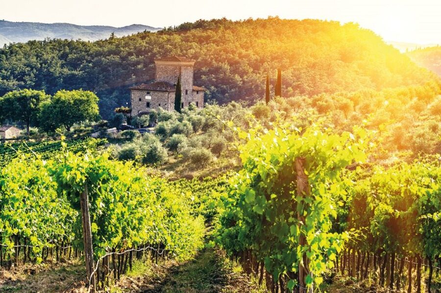 From Siena: Chianti and Castles Tour with Wine Tastings - What the guides add to the drive