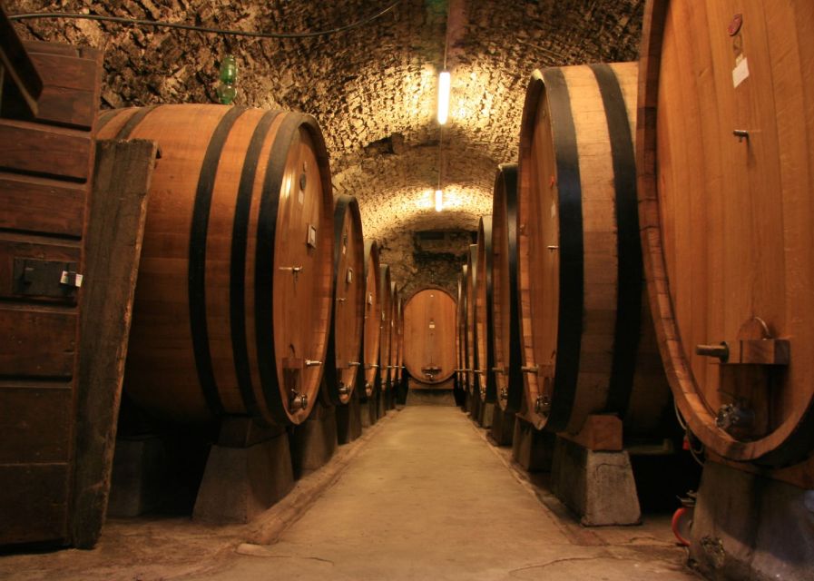 From Siena: Chianti and Castles Tour with Wine Tastings - Why the small group changes the experience