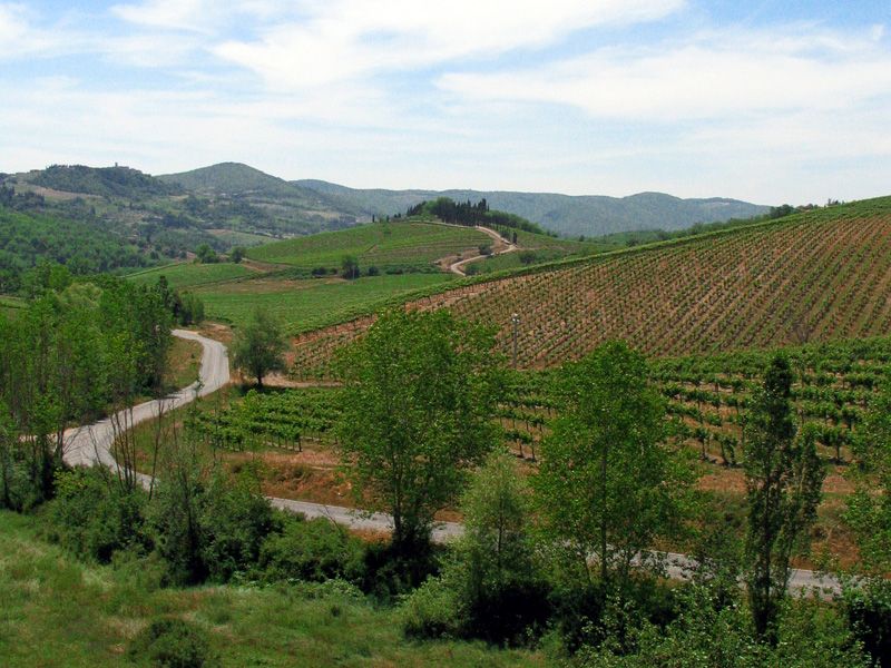 From Siena: Chianti and Castles Tour with Wine Tastings - Is $100 good value?