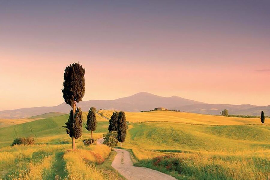 From Siena: Tuscany Hills Wine Tour - What is included, and what you still pay for