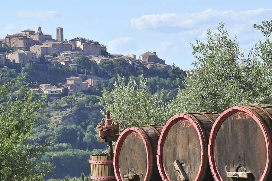 From Siena: Tuscany Hills Wine Tour - Pienza: pecorino, views, and independent time