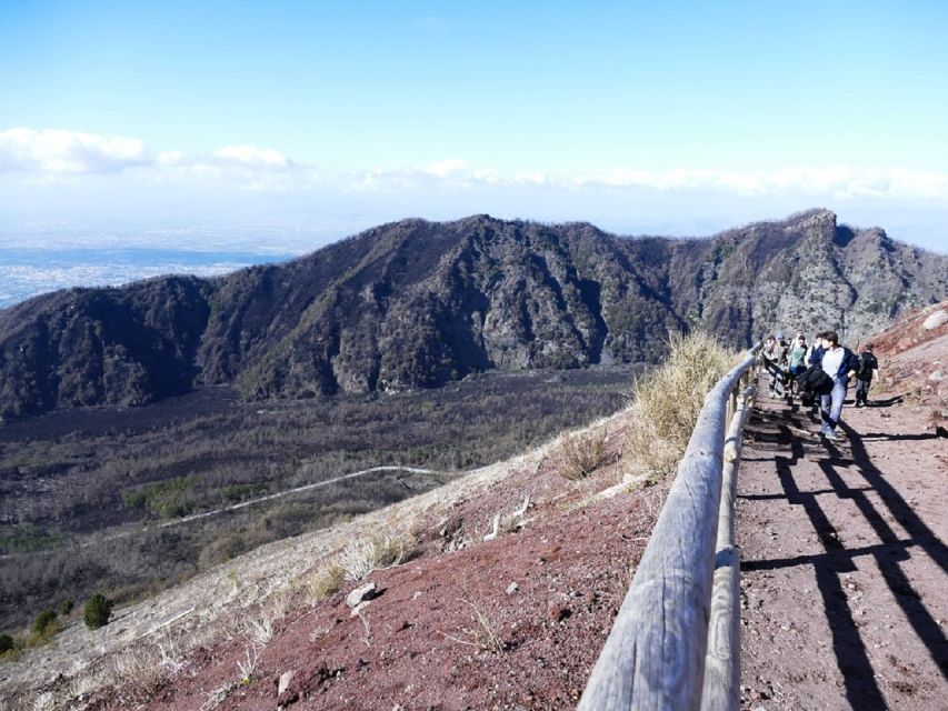 From Sorrento: Day Tour to Pompeii Ruins and Mount Vesuvius - Key points to know before booking
