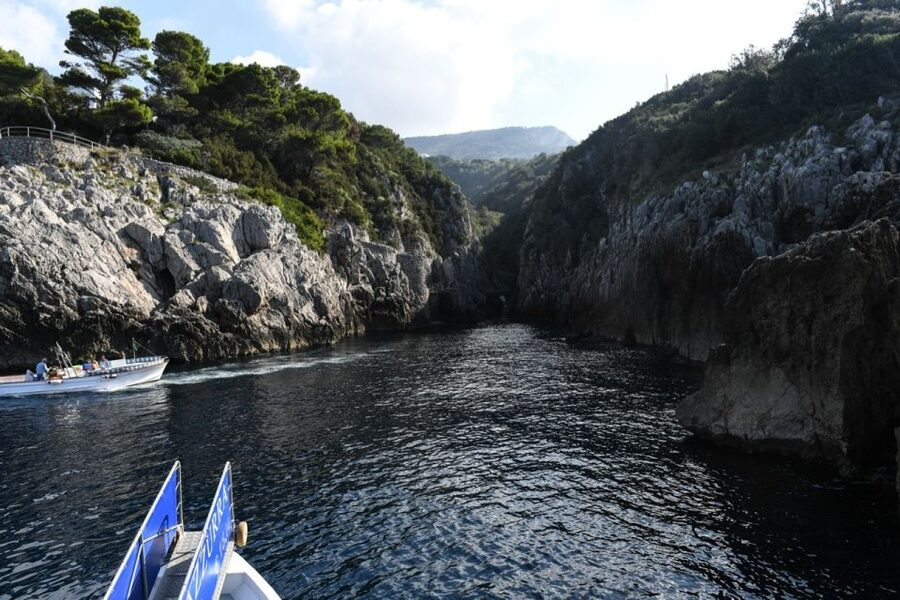 From Sorrento: Day Trip to Capri with Blue Grotto - Five hours to divide between Anacapri and Capri