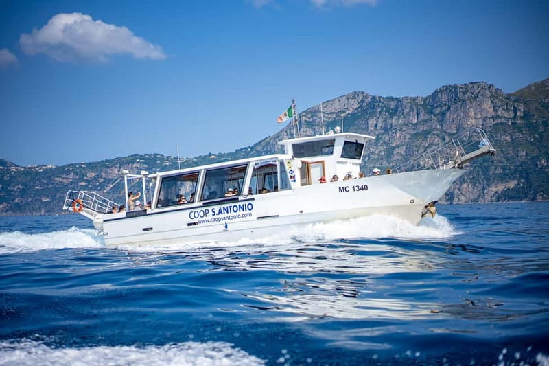 From Sorrento/Nerano: Amalfi and Positano Boat Tour - Key points to know before you book