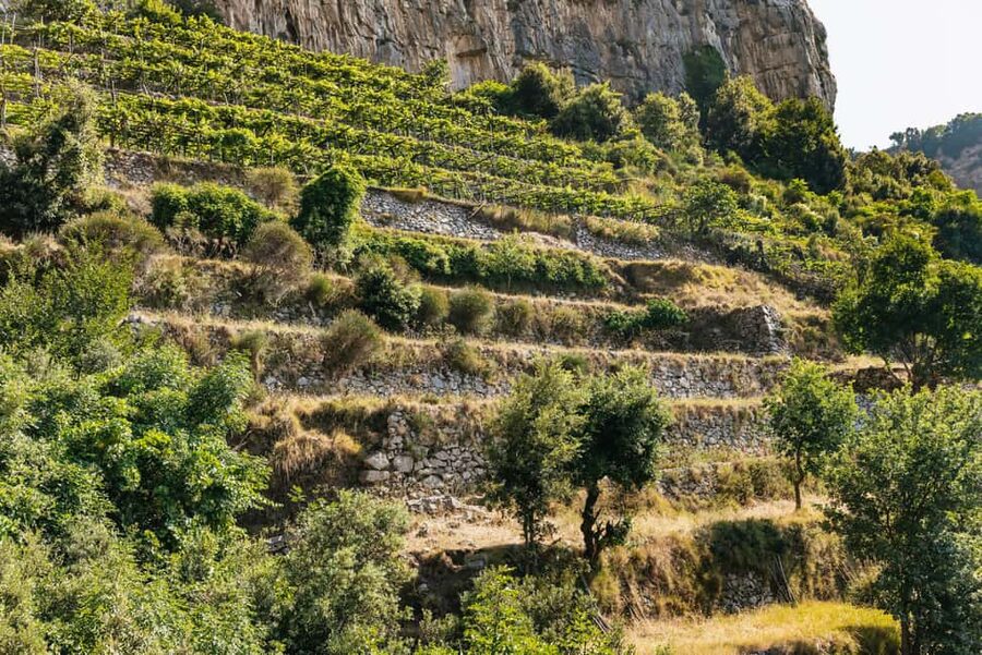 From Sorrento: Path of the Gods Guided Hike with Transfers - Is the $94 price good value?