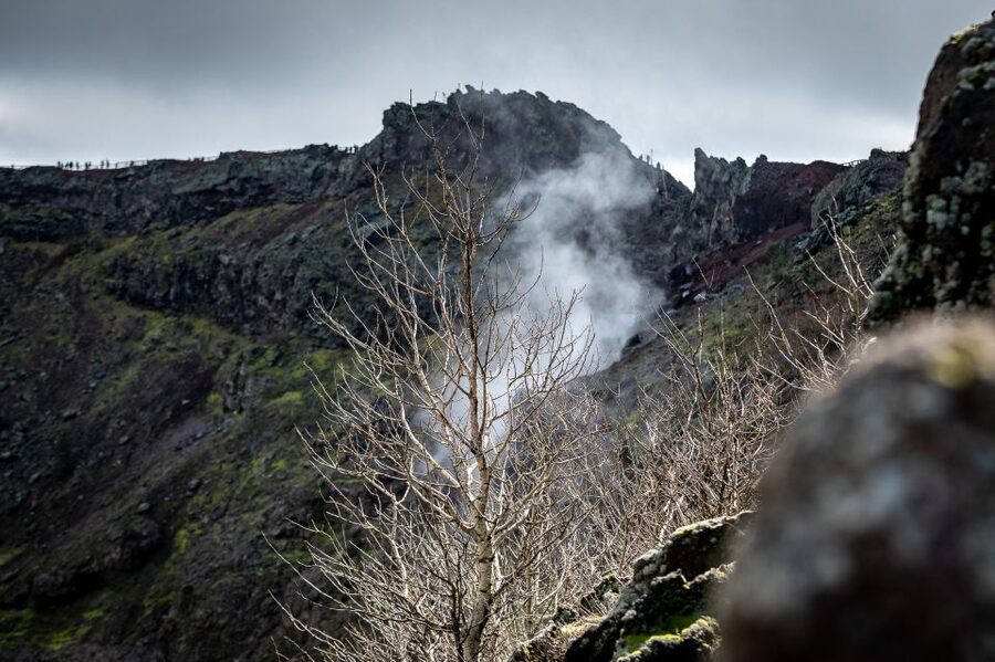 From Sorrento: Pompeii and Vesuvius Guided Tour with Lunch - Who should book this Pompeii and Vesuvius tour?