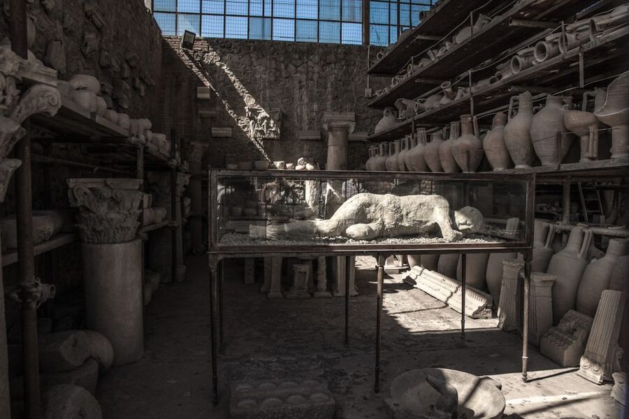 From Sorrento: Pompeii Half-Day Skip-the-Line Tour - The amphitheatre and Pompeii’s public life