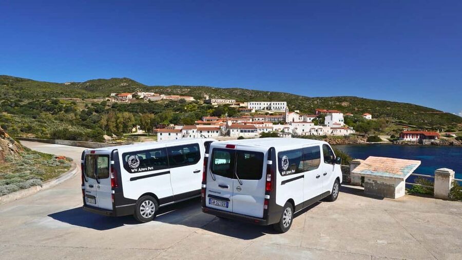 From Stintino: Asinara minivan tour - Key points at a glance