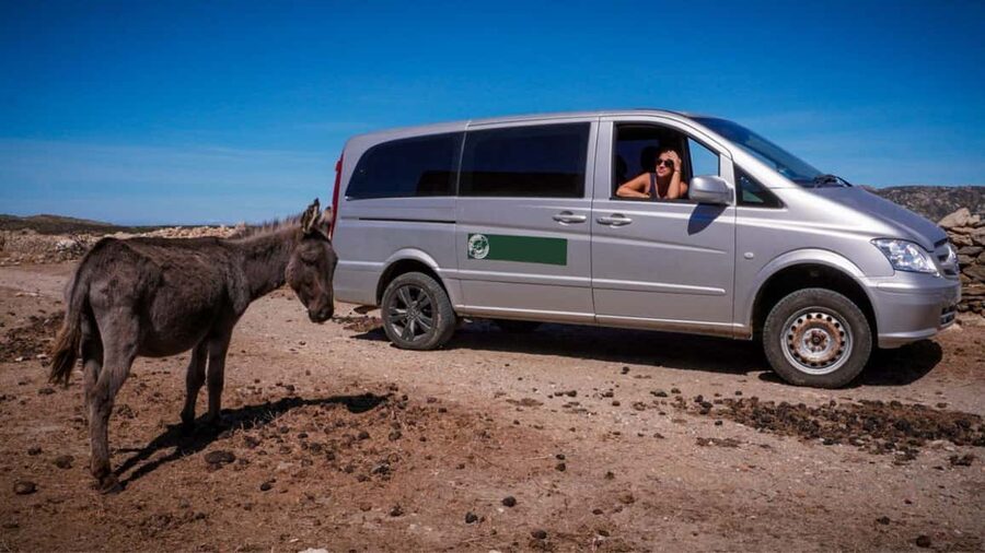 From Stintino: Asinara minivan tour - Guides are the strongest part of the experience