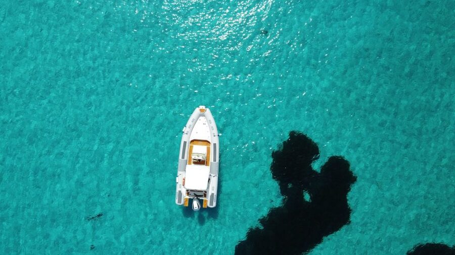 From Stintino: Half-day dinghy tour in Asinara Gulf - The essential details at a glance