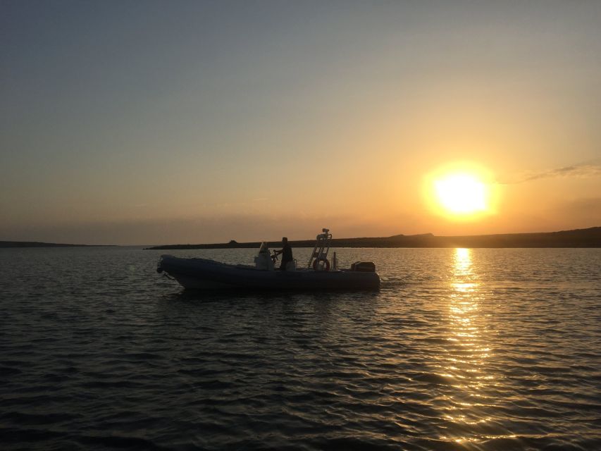 From Stintino: Half-day dinghy tour in Asinara Gulf - A few practical ways to enjoy it more