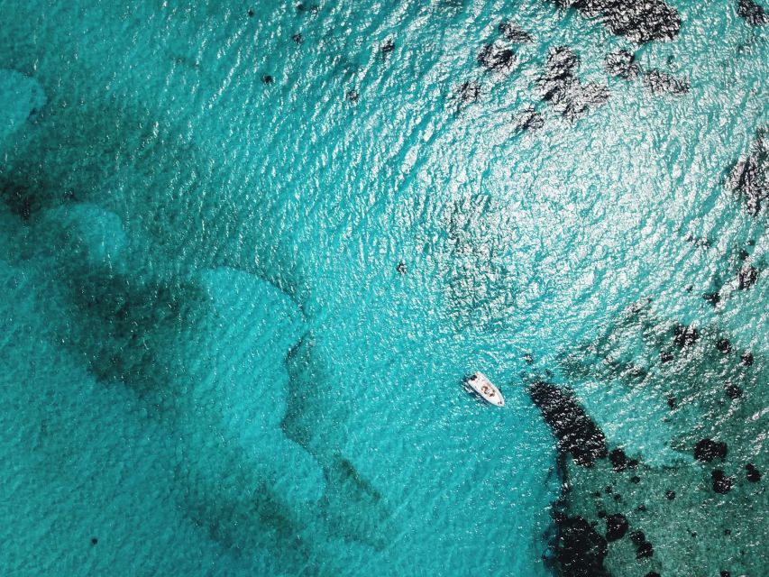 From Stintino: Half-day dinghy tour in Asinara Gulf - Mare di Fuori and the Capo Falcone coast