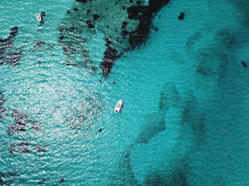 From Stintino: Half-day dinghy tour in Asinara Gulf - What the guide adds to the experience
