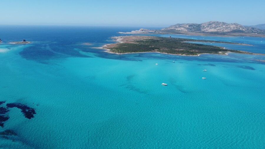 From Stintino: Half-day dinghy tour in Asinara Gulf - What $56 gets you
