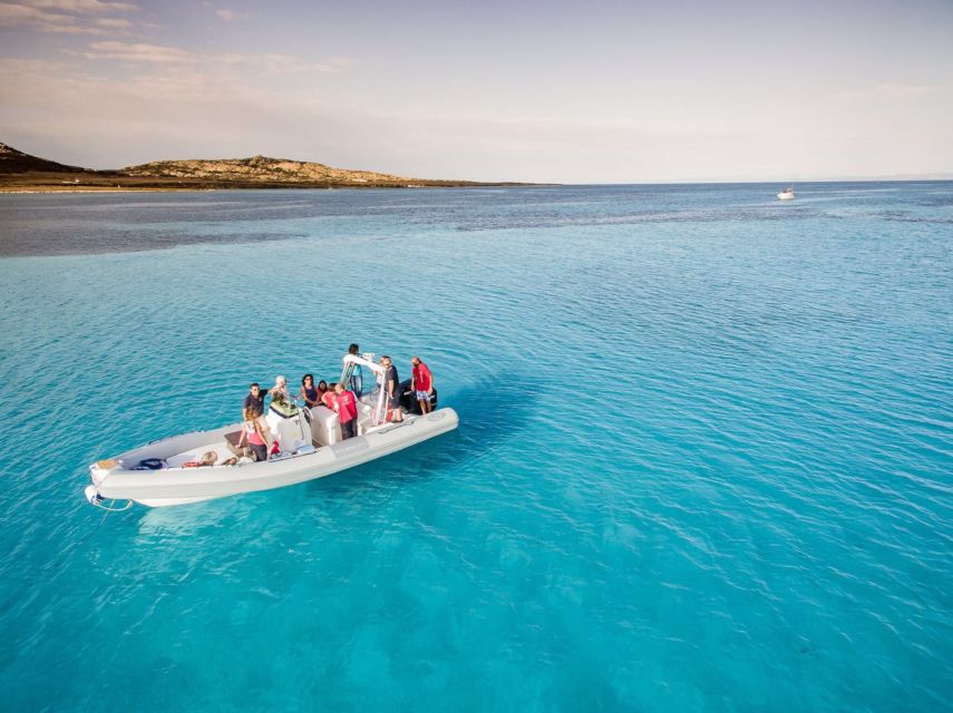 From Stintino: Half-day dinghy tour in Asinara Gulf - The route changes with the wind
