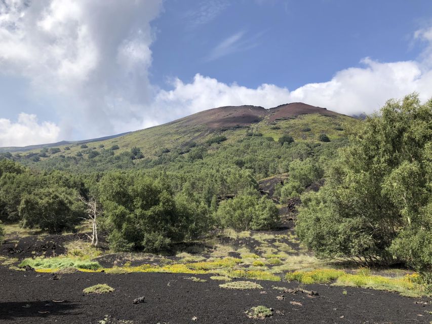 From Taormina: Full-Day Etna, Wine & Alcantara Canyons Tour - Lunch and Etna wine at a local winery