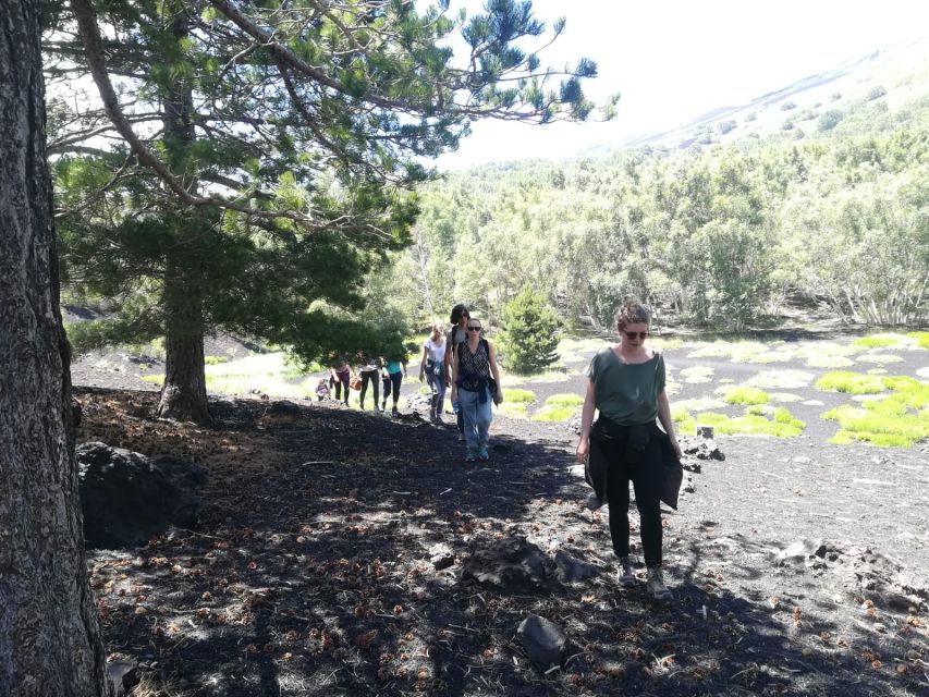 From Taormina: Half-Day Mount Etna Morning Trek - What $106 really buys you