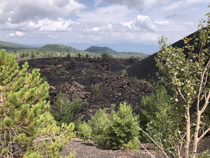 From Taormina: Half-Day Mount Etna Morning Trek - Walking the extinct craters at 2,000 meters