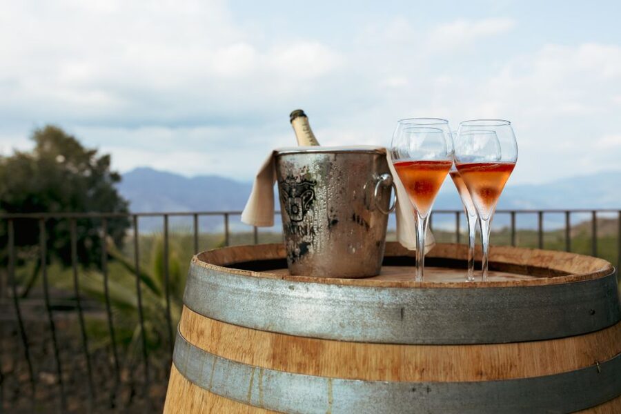 From Taormina: Mount Etna Food and Wine Tasting Tour - Practical tips for getting the most from it