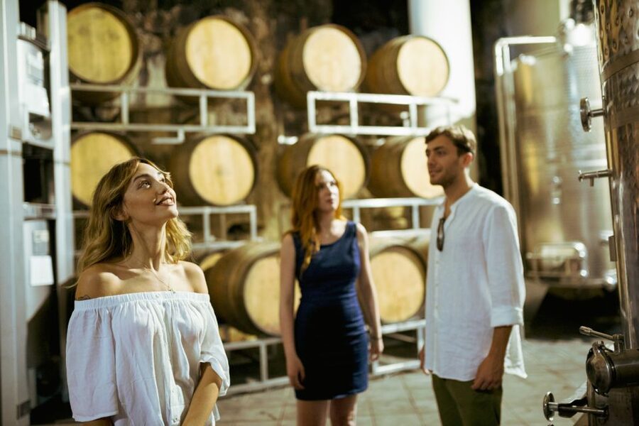 From Taormina: Mount Etna Food and Wine Tasting Tour - Organic lunch on the farmhouse terrace