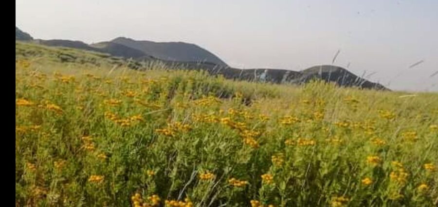 From Taormina, Naxos, & Letojanni: Mount Etna Half-Day Trip - Pickup from four Sicilian bases