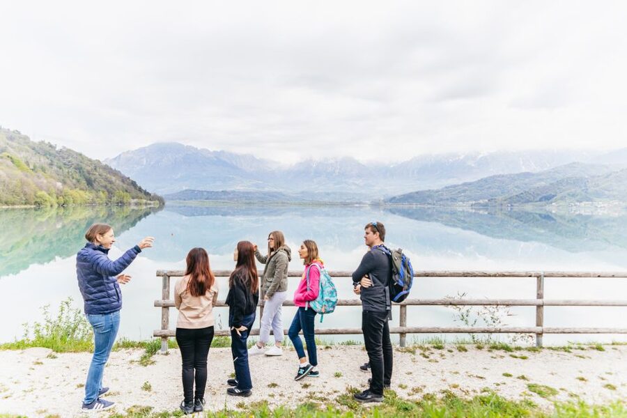 From Venice: Cortina and Dolomites Mountains Day Trip - The driver makes a big difference