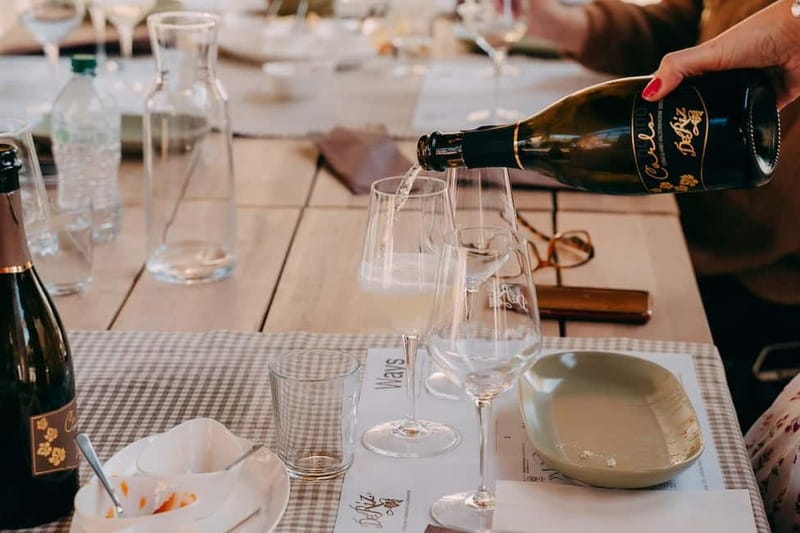 From Venice: Prosecco Hills and Wine Tasting Tour - Should you book the Prosecco Hills tour?
