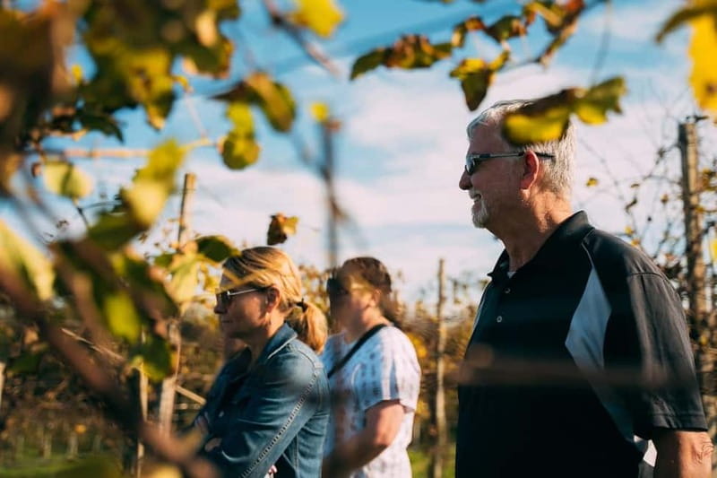 From Venice: Prosecco Hills and Wine Tasting Tour - Timing, comfort, and small practical drawbacks