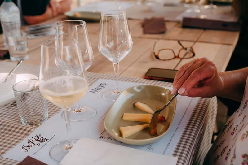 From Venice: Prosecco Hills and Wine Tasting Tour - Who should book this Prosecco day trip?