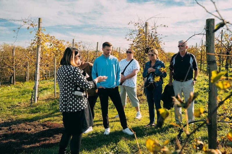 From Venice: Prosecco Hills and Wine Tasting Tour - Valdobbiadene: vineyards, family producers, and the first tasting