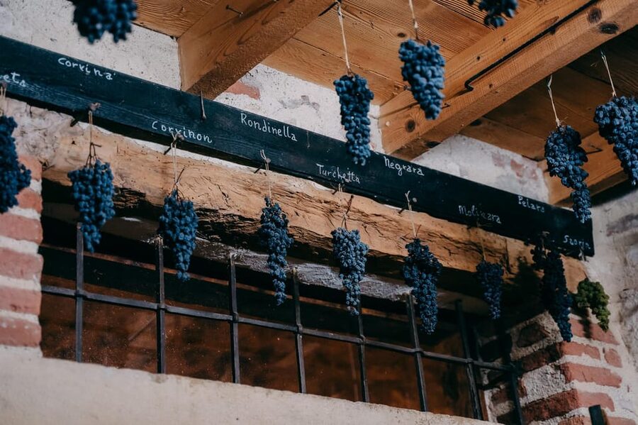 From Verona: Valpolicella and Amarone Wine Tasting Tour - Who will enjoy this Valpolicella tour?