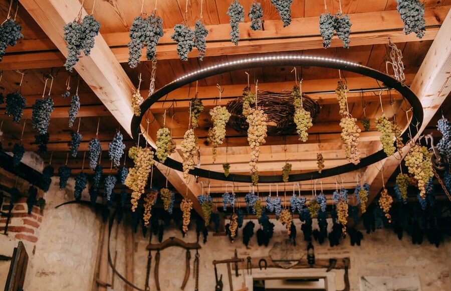 From Verona: Valpolicella and Amarone Wine Tasting Tour - Why the small group matters