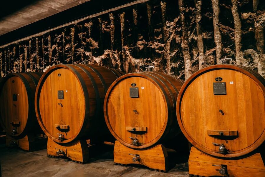 From Verona: Valpolicella and Amarone Wine Tasting Tour - First winery: a close look at Amarone production