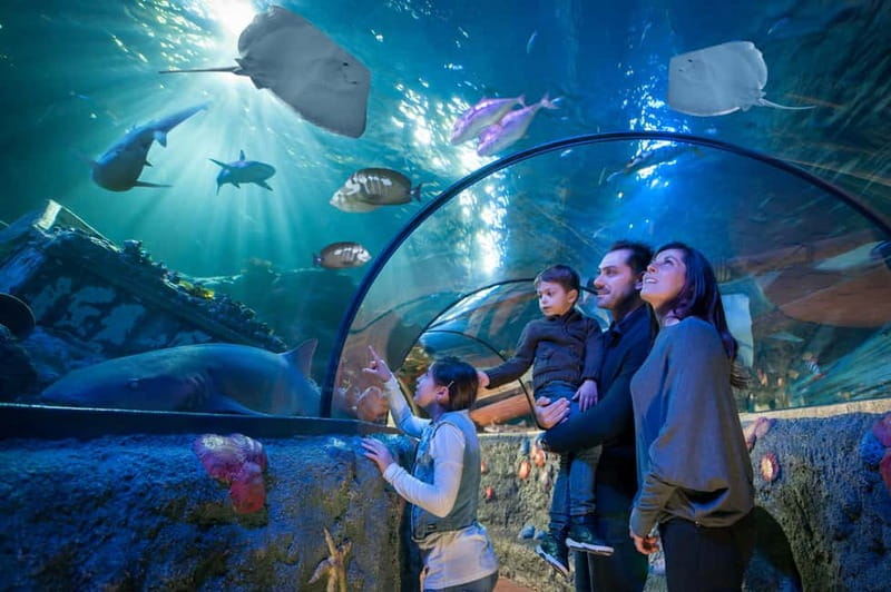 Gardaland SEA LIFE Aquarium: Open Date Entry Ticket - Quick points to know before you go