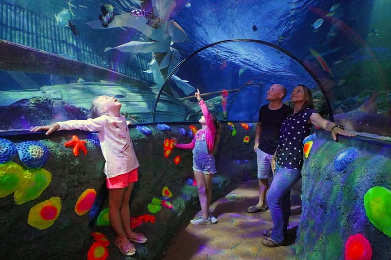 Gardaland SEA LIFE Aquarium: Open Date Entry Ticket - The Oceanic Tank and transparent tunnel