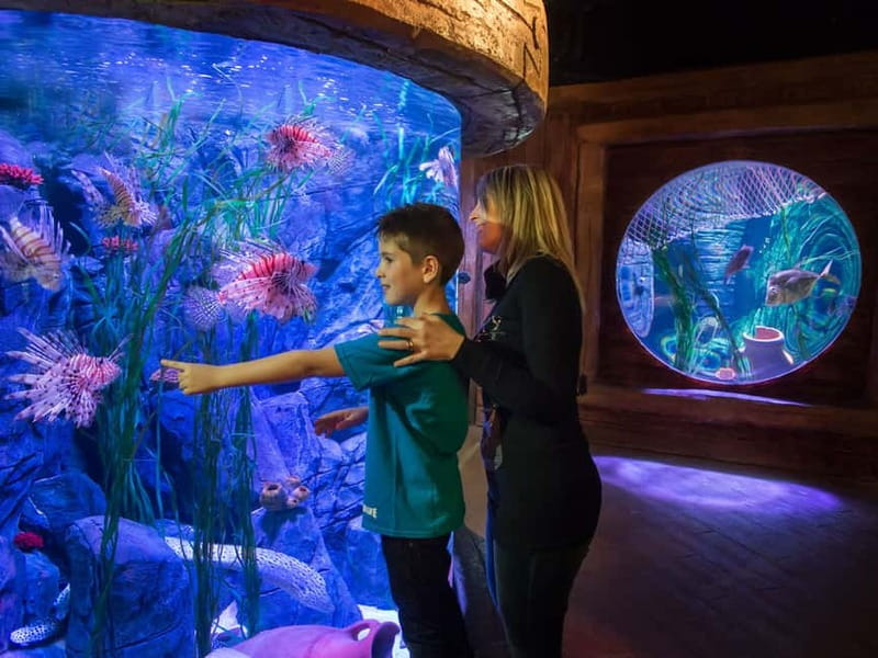 Gardaland SEA LIFE Aquarium: Open Date Entry Ticket - Children’s activities beyond the tanks