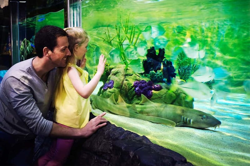 Gardaland SEA LIFE Aquarium: Open Date Entry Ticket - Food at Covo del Capitano