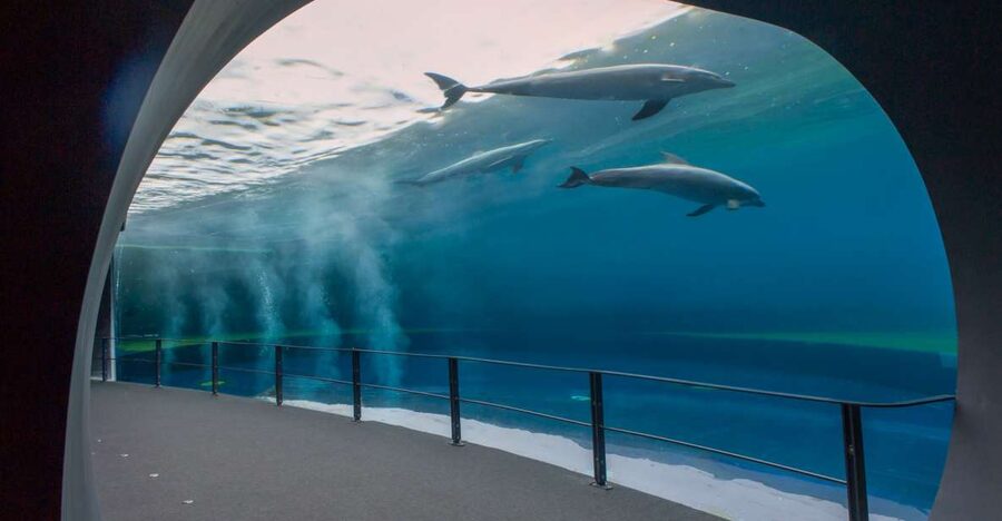 Genoa: Aquarium and FantaCinema Combined Ticket - Walking to FantaCinema in the Cotton Warehouses