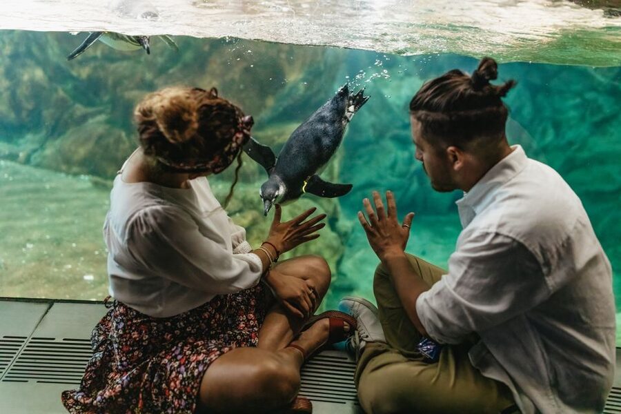 Genoa: Aquarium of Genoa Entry Ticket - The best time to visit