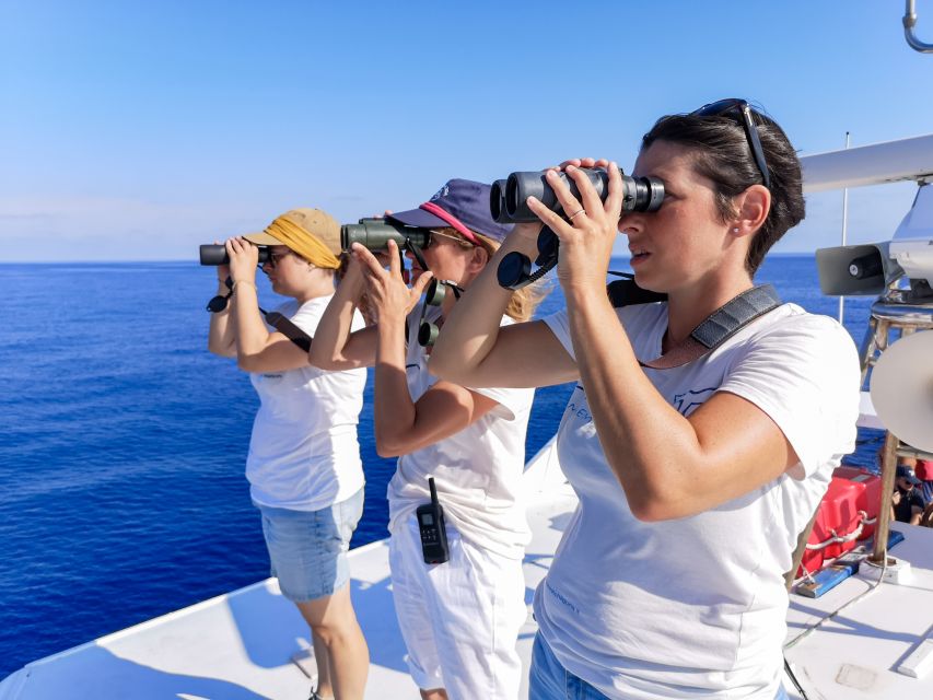 Genoa: Cetacean Watching Cruise with Marine Biologist Guide - Key Points Before You Book